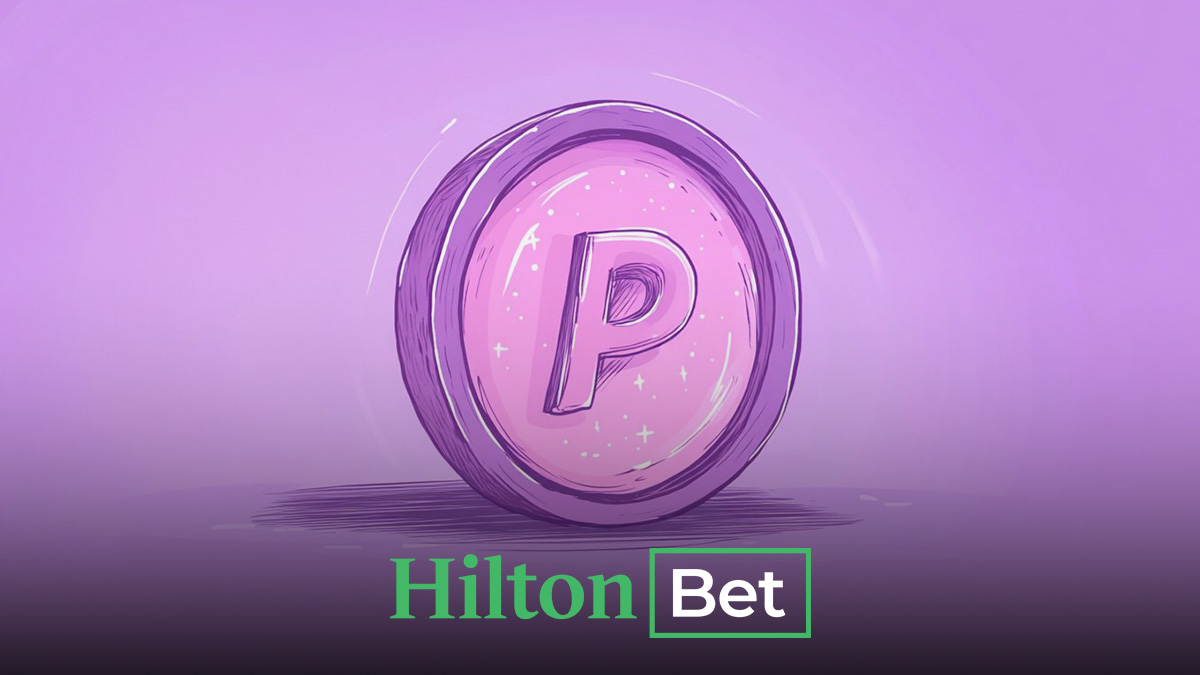 Hiltonbet Payco yatırımı